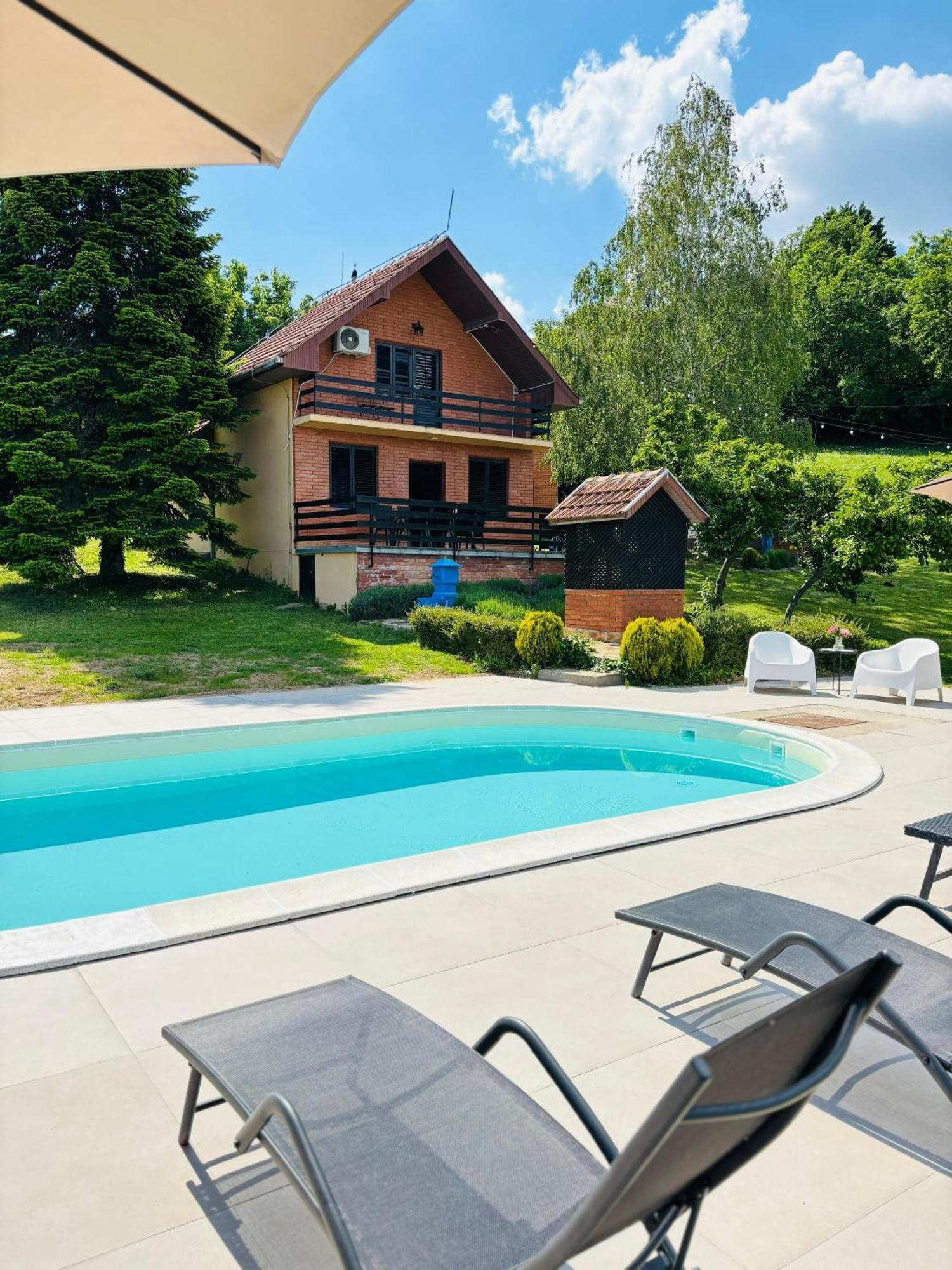 Fruska Pool House Villa Sremska Kamenica Exterior photo